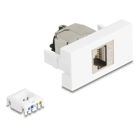 DeLOCK 90905 prise de courant RJ-45 Argent, Blanc