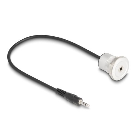 DeLOCK 88188 câble audio 0,3 m 3,5mm Noir, Argent