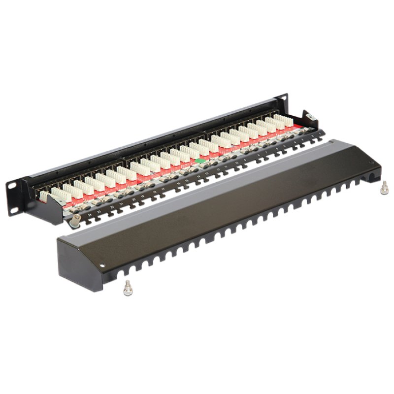 Delock 19? Patchpanel 24 Port Cat.6A schwarz
