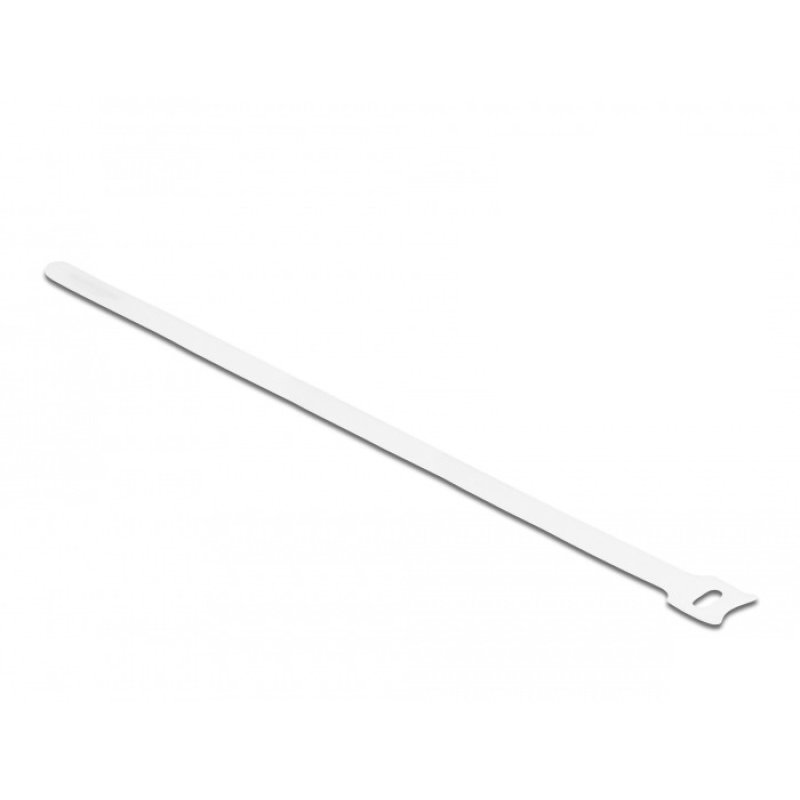 DeLOCK Serre-câbles à scratch L 300 x l 12 mm, blanc, 10 pièces