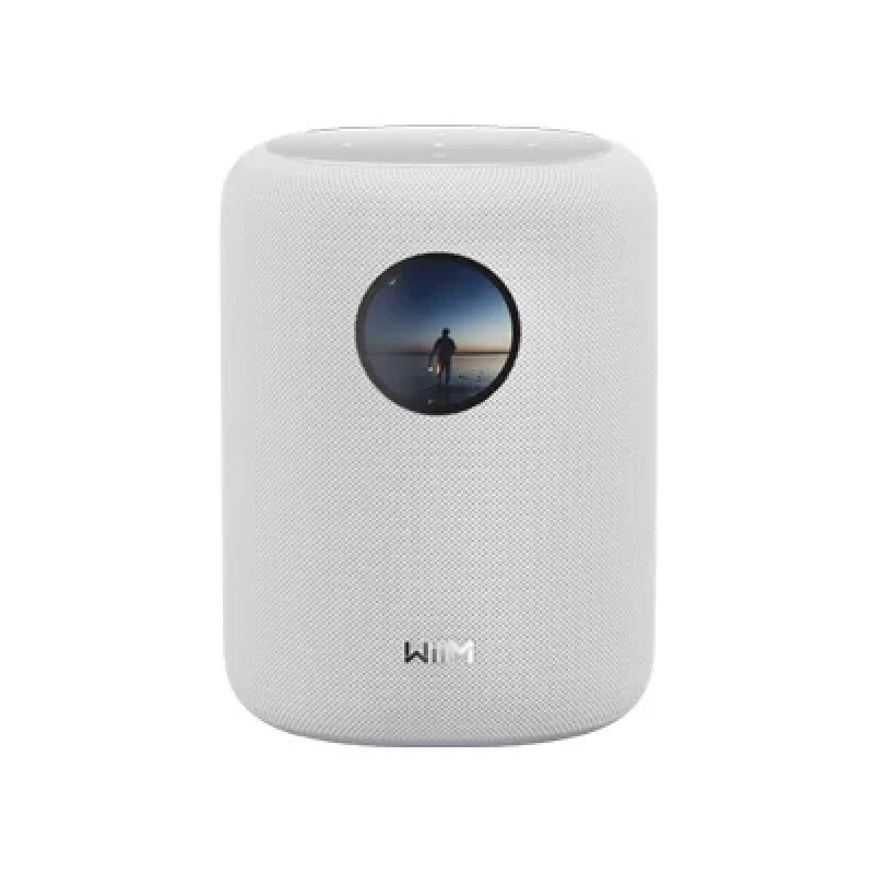WiiM LPWISNDW Sound Smart Speaker , wei