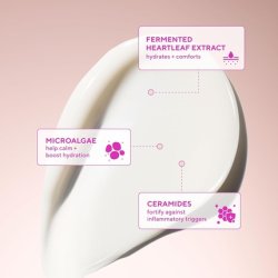 Murad Heartleaf Calming Cream Comforting Facial Moisturizer to Soothe