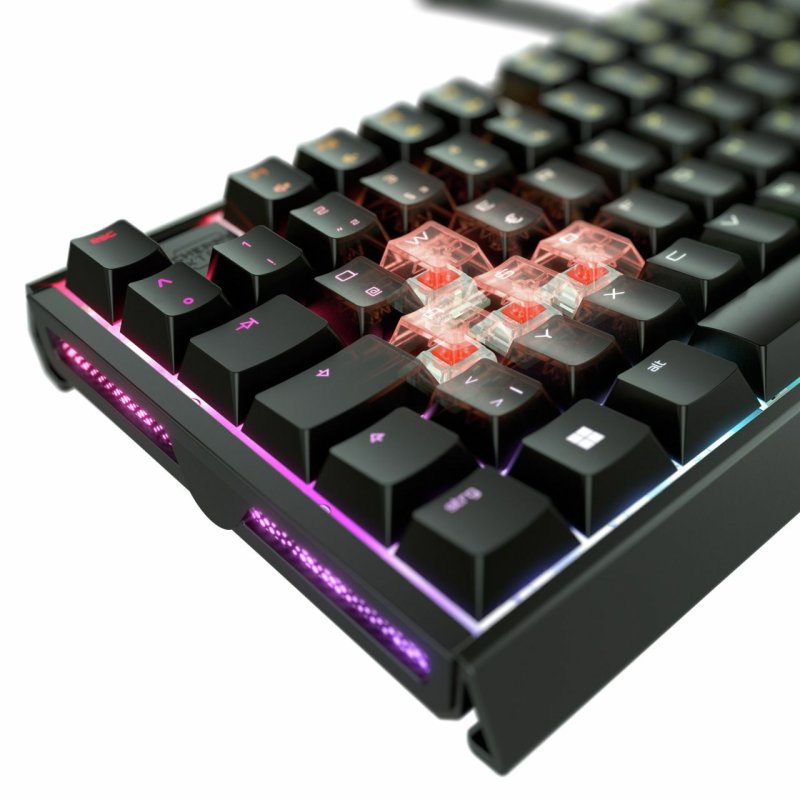 CHERRY XTRFY MX 3.1 RGB Corded (US) MX2A Brown sw