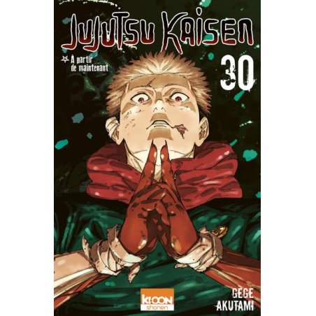 JUJUTSU KAISEN - Tome 30