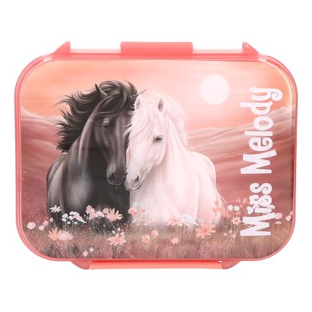 Miss Melody 0414132 gamelle Boîte de rangement alimentaire Polypropylène (PP) Rose