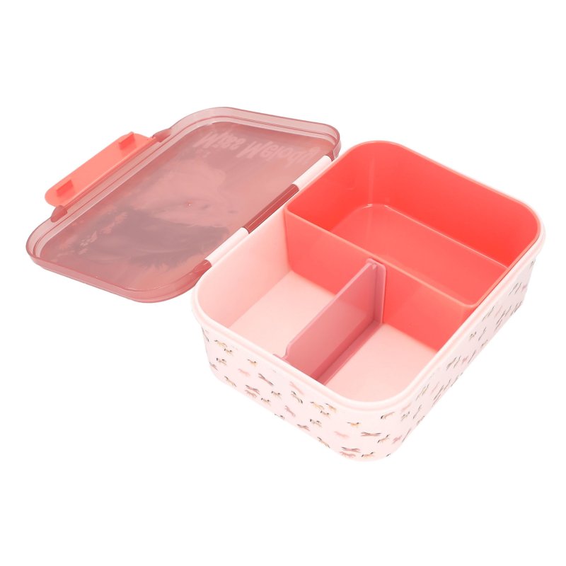 Miss Melody Lunchbox BLOSSOM PONY