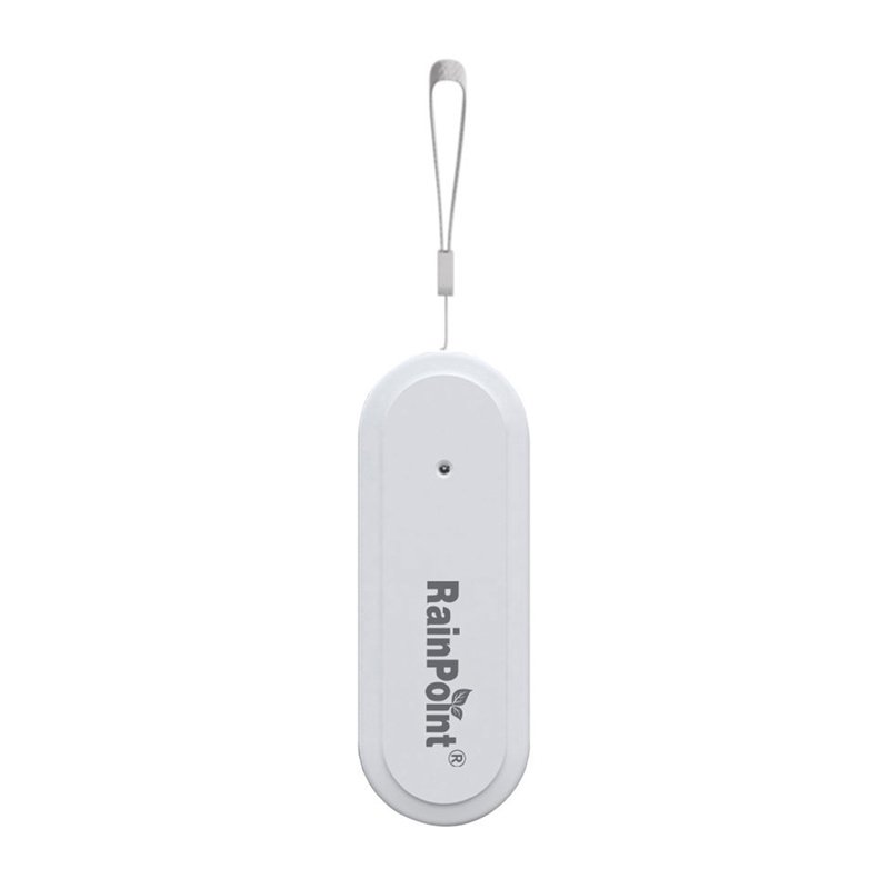 Rainpoint Smart Smart Thermohygrometer
