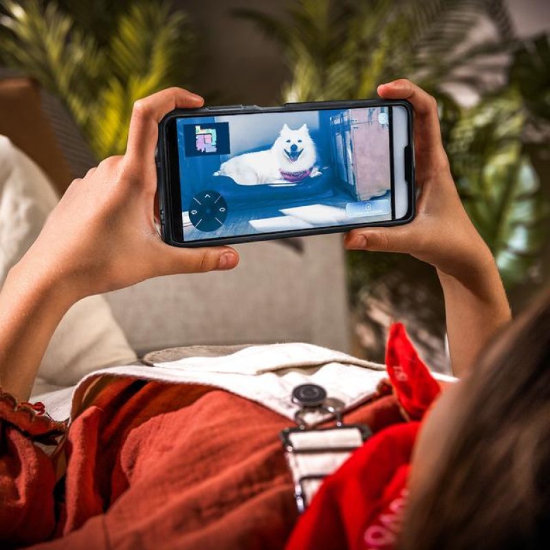 Cecotec Conga X100 Noir, Gris