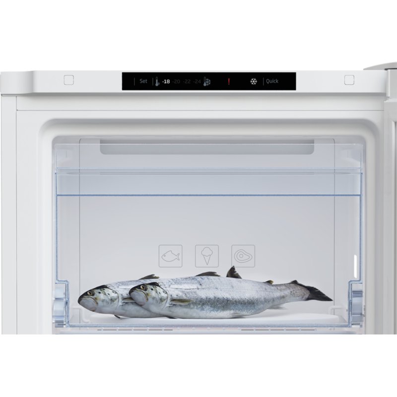 Congélateur armoire No-Frost RFNM200T40WN