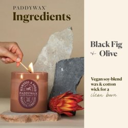 Paddywax Vista Range Candle Black Fig & Olive