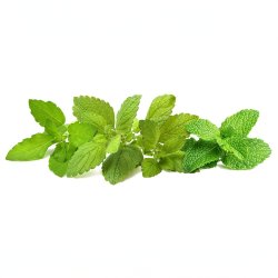 Click & Grow - Plant Pods 9-Pack – Calming Tea Mix