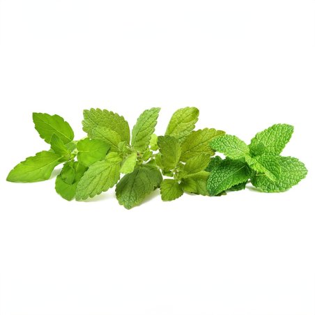 Click & Grow - Plant Pods 9-Pack – Calming Tea Mix