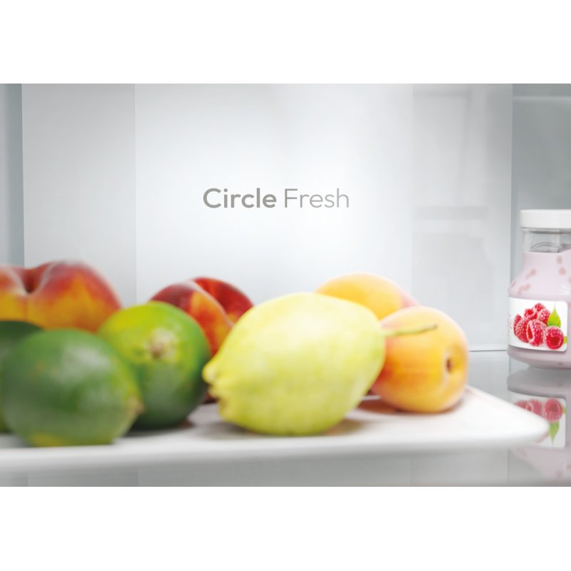 Candy ECN2CQTEX206 Freestanding 409 L Stainless steel
