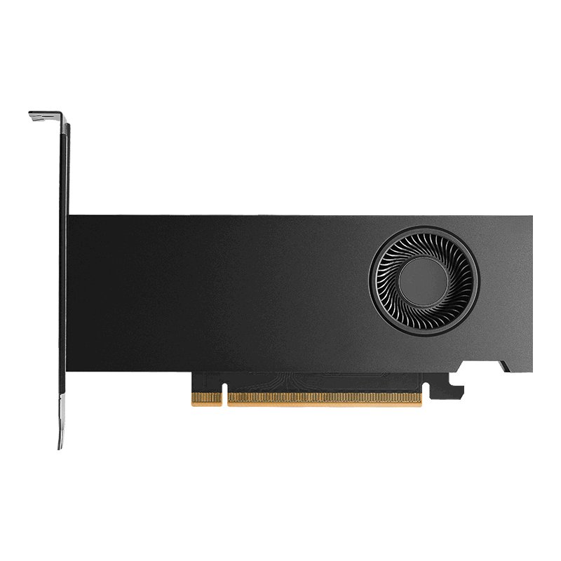 NVIDIA RTX PRO 2000 Blackwell Retail