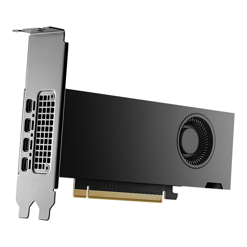 NVIDIA RTX 2000 Ada Retail