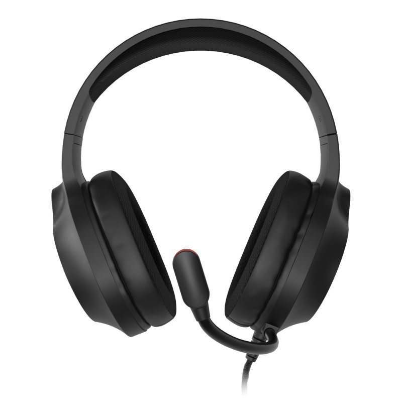 GENESIS NEON 213