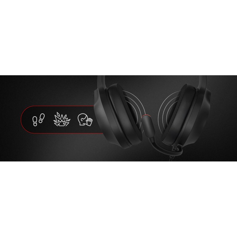 GENESIS NEON 213