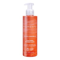 Pigmento Absolute Copper Mask 200ml Hair Treatment