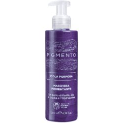 Pigmento Mask 200ml Purple Violet Hair Care