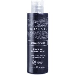 Pigmento Shampoo 200ml Black Raven