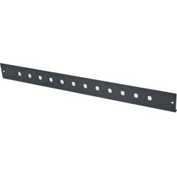 DEXLAN 19" 1U Fiber Optic Patch panel Front panel for 12 × ST/FC