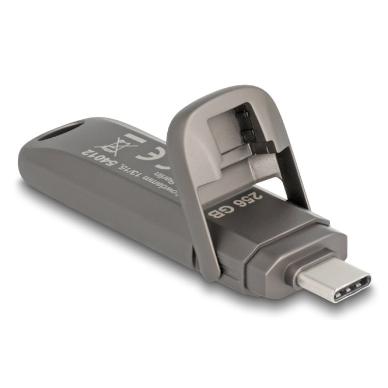 DeLOCK 54012 USB flash drive 256 GB USB Type-C Grey