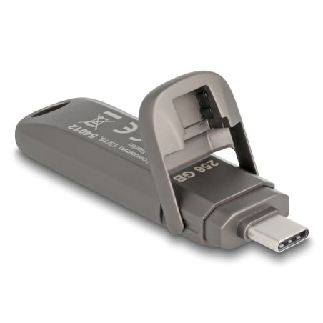 DeLOCK 54012 USB flash drive 256 GB USB Type-C Grey