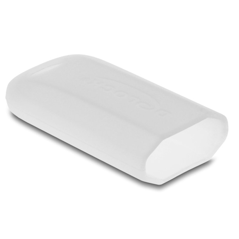 STICK DELOCK USB 20 Gbps USB-C Speicherstick 256GB Lesegeschwindigkeit 1980mB/s - Metallgehuse