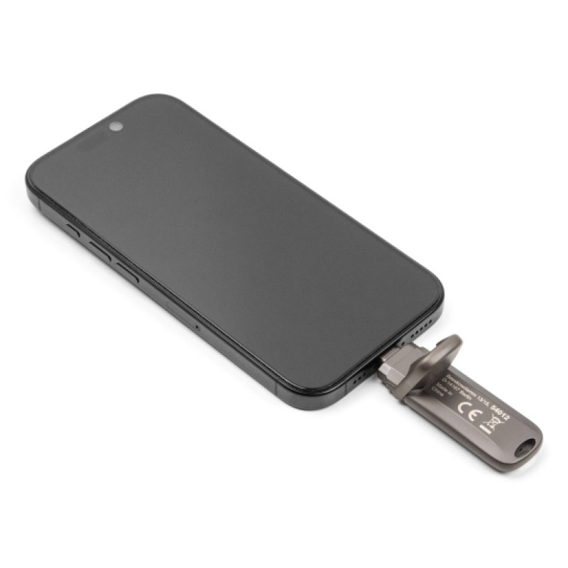 DeLOCK 54012 USB flash drive 256 GB USB Type-C Grey