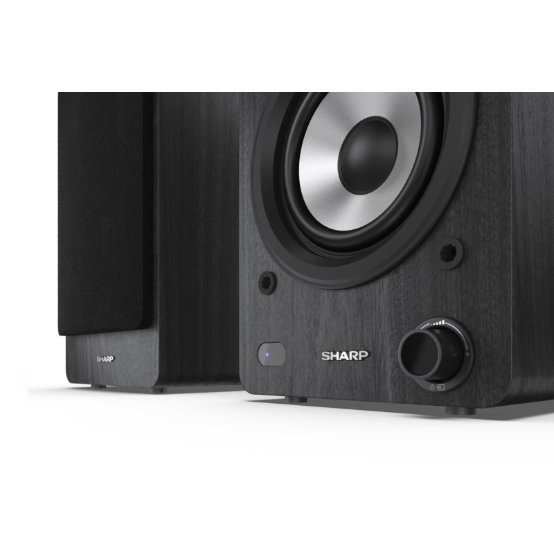 Sharp CP-SS30 Bookshelf Speakers - Black