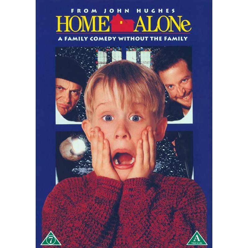 HOME ALONE (A true Christmas Classic)