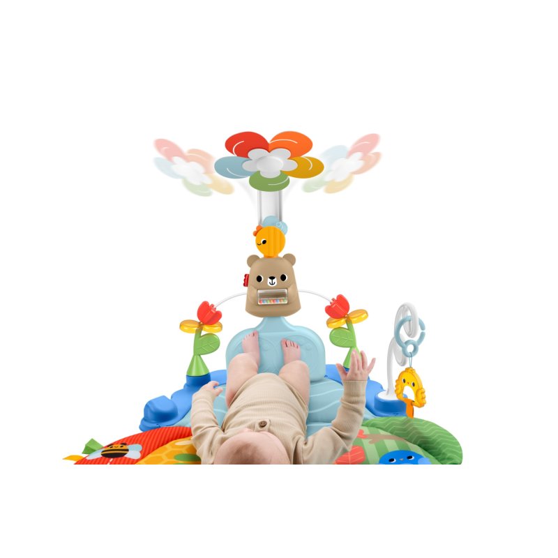 Fisher-Price - Balanced Beginnings Kick & Sway Gym (HYR60)