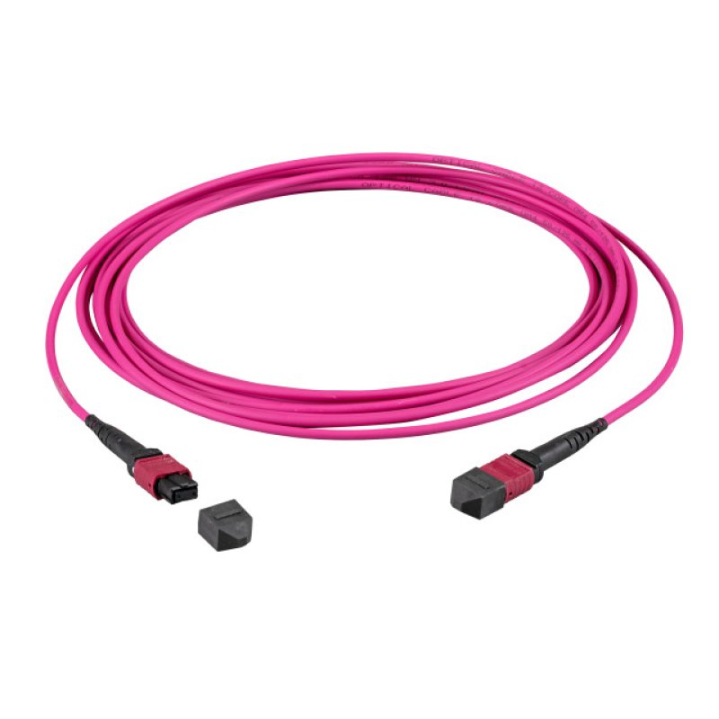 EFB MTP(F)-MTP(F) Patchkabel OM4 72 Fasern Typ A LSZH erika-violett 5m