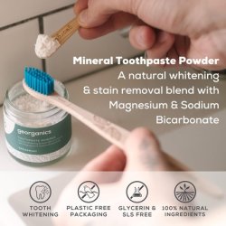 Georganics Mineral Toothpaste Powder Spearmint Stain Removing & Teeth