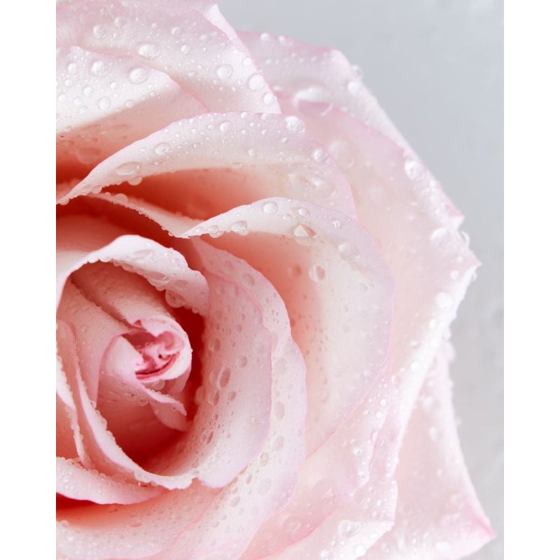 Nivea Body Cream Pump 500 Ml Rose & Argan Oil