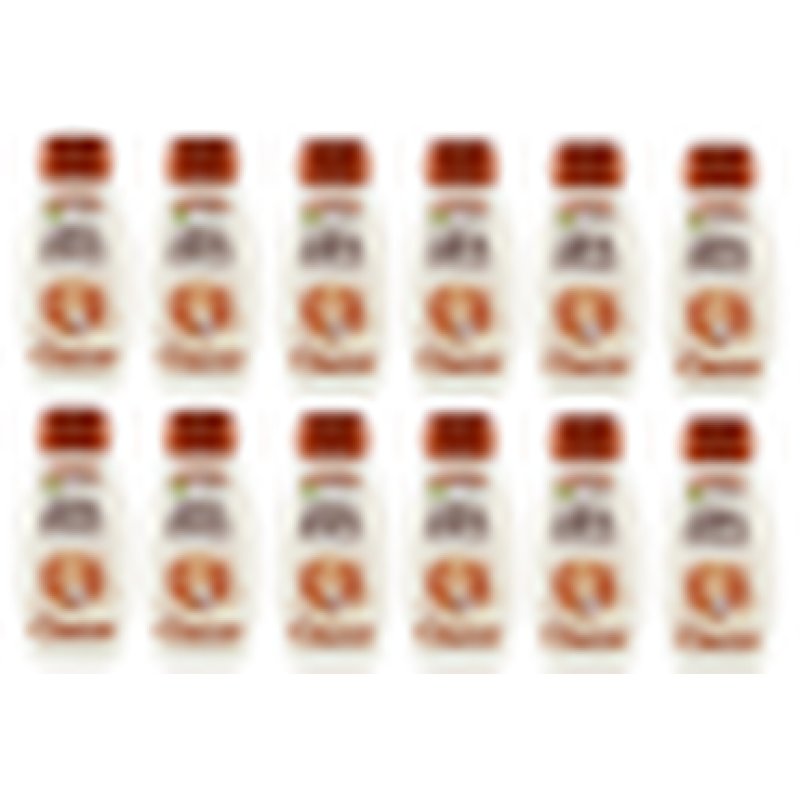 Garnier Ultra Dolce Coconut Milk Shampoo 250 Milliliters