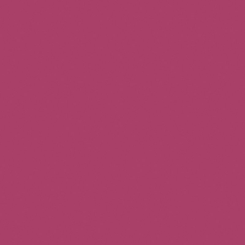 Naj-Oleari Forever Matte Lipstick 06 Marsala 4g