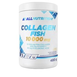 Allnutrition Collagen Fish 10000mg Mango 480g