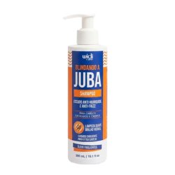 Widi Care Blindando A Juba Antifrizz Shampoo 300ml