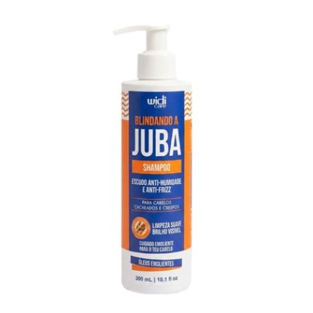 Widi Care Blindando A Juba Antifrizz Shampoo 300ml