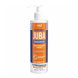 Widi Care Blindando A Juba Antifrizz Conditioner 300ml