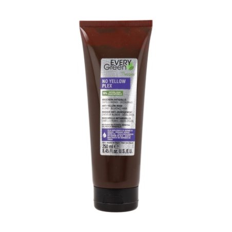 Dikson Everygreen No Yellow Plex Mask 250 Ml Hair Treatment