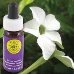 Flower Essence Services Nicotiana Essence 0.25 Ounce