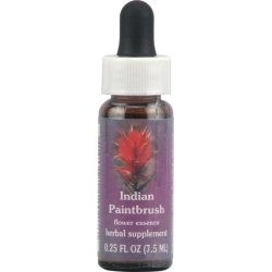 Flower Essence Services Quintessentials Supplement Dropper Indian Paintbrush