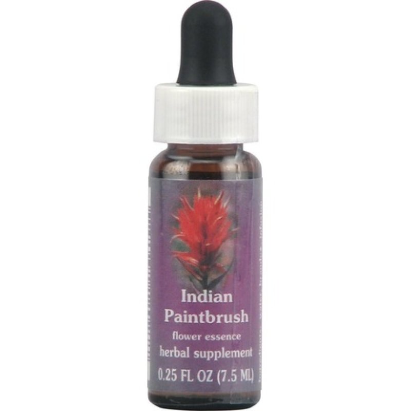 Flower Essence Services Quintessentials Supplement Dropper Indian Paintbrush