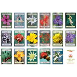 Australian Bush Flower Essences Single Essences 15ml