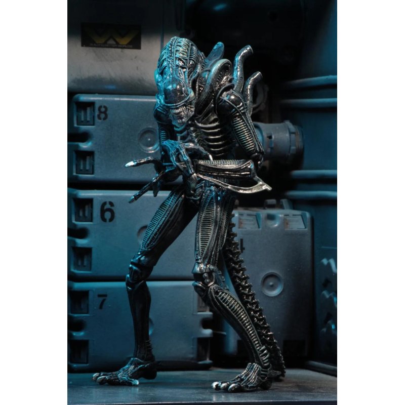 ALIENS - Guerrier Alien Bleu - Figurine Ultimate 23cm