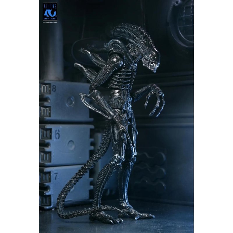 ALIENS 40EME ANNIVERSAIRE - Guerrier Alien Noir - Fig. Ultimate 23cm