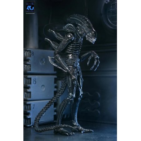 ALIENS 40EME ANNIVERSAIRE - Guerrier Alien Noir - Fig. Ultimate 23cm