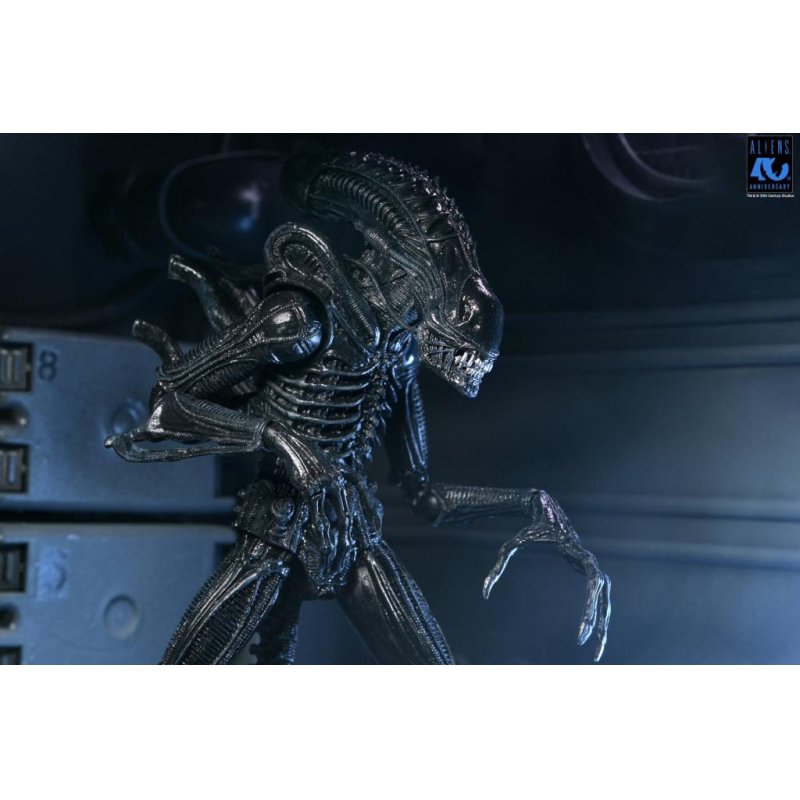 ALIENS 40EME ANNIVERSAIRE - Guerrier Alien Noir - Fig. Ultimate 23cm
